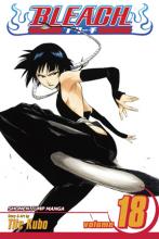 Bleach Volume 18 Bleach Volume 18 cover picture