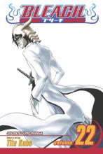 Bleach Volume 22 Bleach Volume 22 cover picture