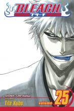 Bleach Volume 25 Bleach Volume 25 cover picture