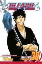Bleach Volume 30 Bleach Volume 30 cover picture