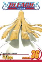 Bleach Volume 36 Bleach Volume 36 cover picture