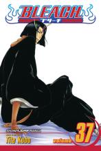 Bleach Volume 37 Bleach Volume 37 cover picture
