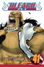 Bleach Volume 41 Bleach Volume 41 cover picture