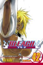Bleach Volume 42 Bleach Volume 42 cover picture