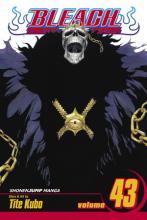 Bleach Volume 43 Bleach Volume 43 cover picture