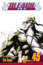 Bleach Volume 45 Bleach Volume 45 cover picture