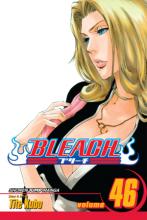 Bleach Volume 46 Bleach Volume 46 cover picture