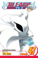 Bleach Volume 47 Bleach Volume 47 cover picture