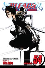 Bleach Volume 54 Bleach Volume 54 cover picture