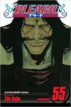 Bleach Volume 55 Bleach Volume 55 cover picture