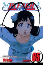 Bleach Volume 65 Bleach Volume 65 cover picture