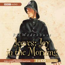 Joy in the Morning Joy in the Morning cover picture