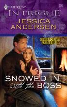 Snowed In With The Boss Snowed In With The Boss cover picture