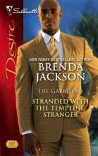 Stranded With The Tempting Stranger Stranded With The Tempting Stranger cover picture