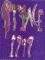 1999 cover picture