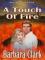 A Touch Of Fire cover picture