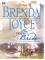 The Perfect Bride cover picture