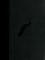 Black Sun Rising cover picture