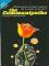 Communipaths cover picture