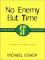No Enemy But Time cover picture