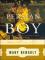 The Persian Boy cover picture