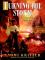 Turning The Storm cover picture
