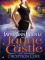 Deception Cove book cover