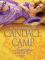 The Courtship Dance book cover