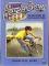 The Mystery of the Silver Star book cover