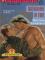 Somewhere In Time cover picture