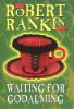 Waiting For Godalming cover picture