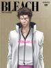 Bleach Season 12: The Arrancar 4: Decisive Battle of Karakura cover picture