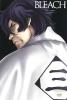Bleach Season 9: The New Captain Shusuke Amagai cover picture